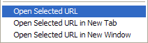 Open Selected URL for Internet Explorer Screenshot